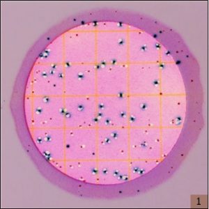 Hướng-dẫn-sử-dụng-kitest-kiểm-tra-Ecoli-và-coliform-bằng-peptriflim-3M-1