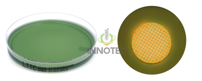 Environmental Microbiology chemical Lactose TTC Agar