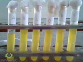 Environmental Microbiology Lauryl Sulphate Broth Titan Himedia India