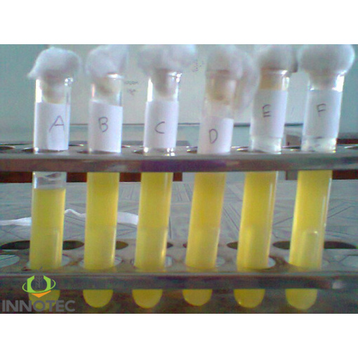 Môi trường vi sinh Lauryl Sulphate Broth Titan Himedia Ấn Độ
